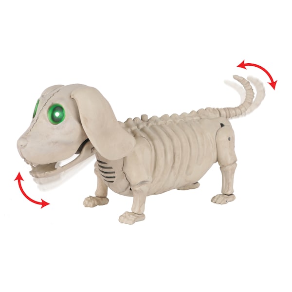 Seasons Usa Seasons Green 3.5 in. Prelit Animated Wiener Dog Skeleton Halloween Decor W81888 - main